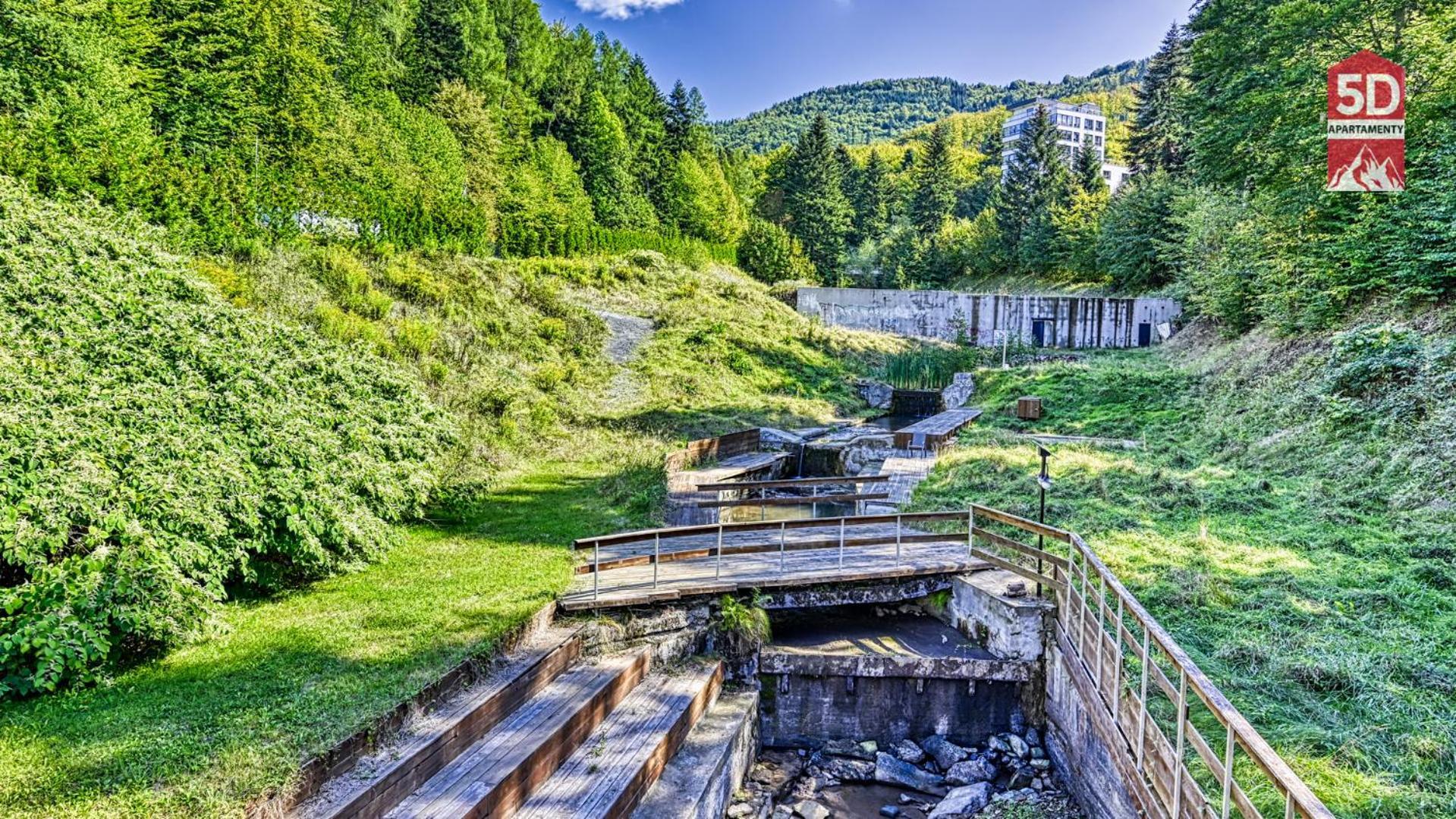 Apartament Spa 40 Resort Kozubnik Blisko Szczyrk - 5D Apartamenty Porąbka Eksteriør billede